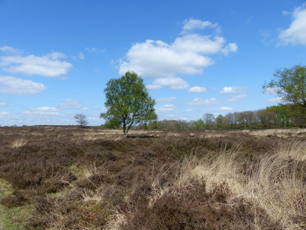 Herberg De Eexter Os Exteriér fotografie